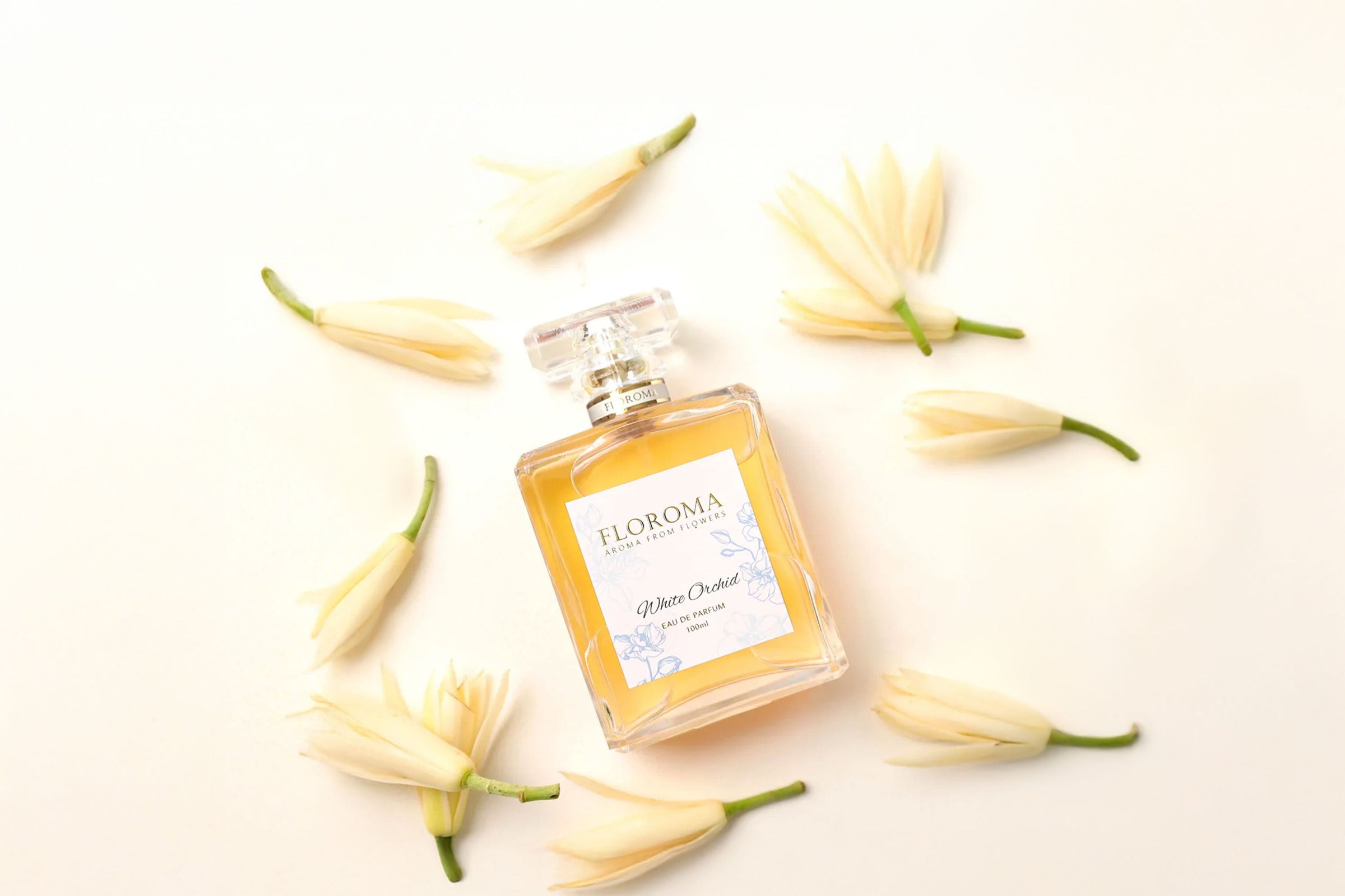White Orchid All Collection