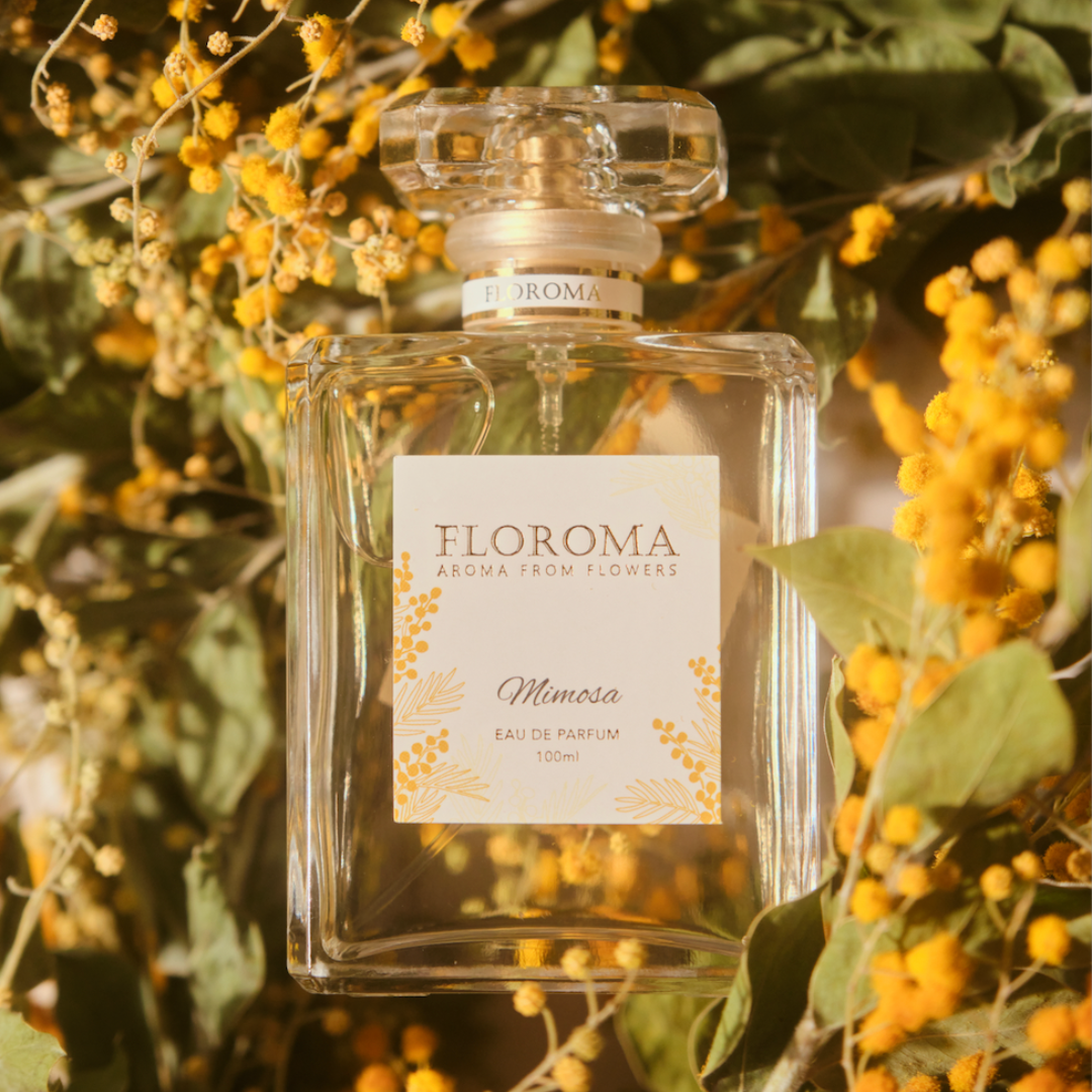 Mimosa Perfume – Floroma 花之滴