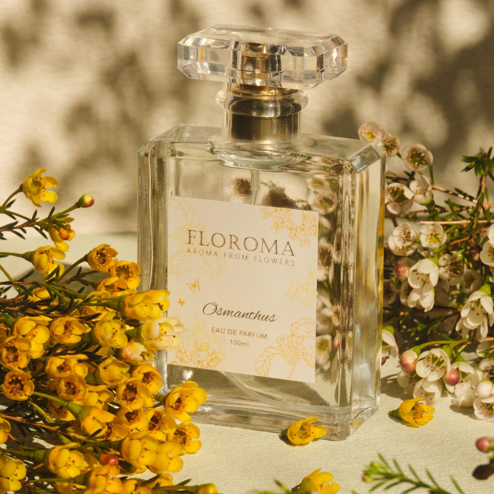 Spirit Tea | Osmanthus Flower