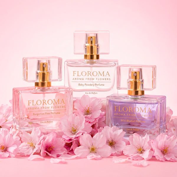 $119 For Any 3 Big Perfume（35mL) – Floroma 花之滴