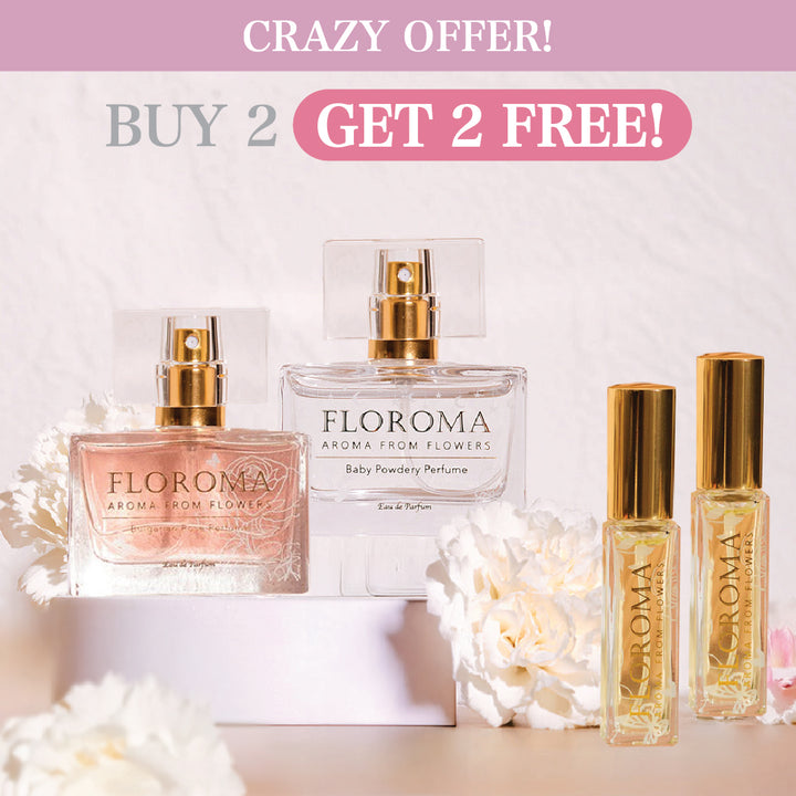 【Crazy Offer】Buy 2 Get 2 FREE!