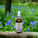 Wild Bluebell Fragrance Oil