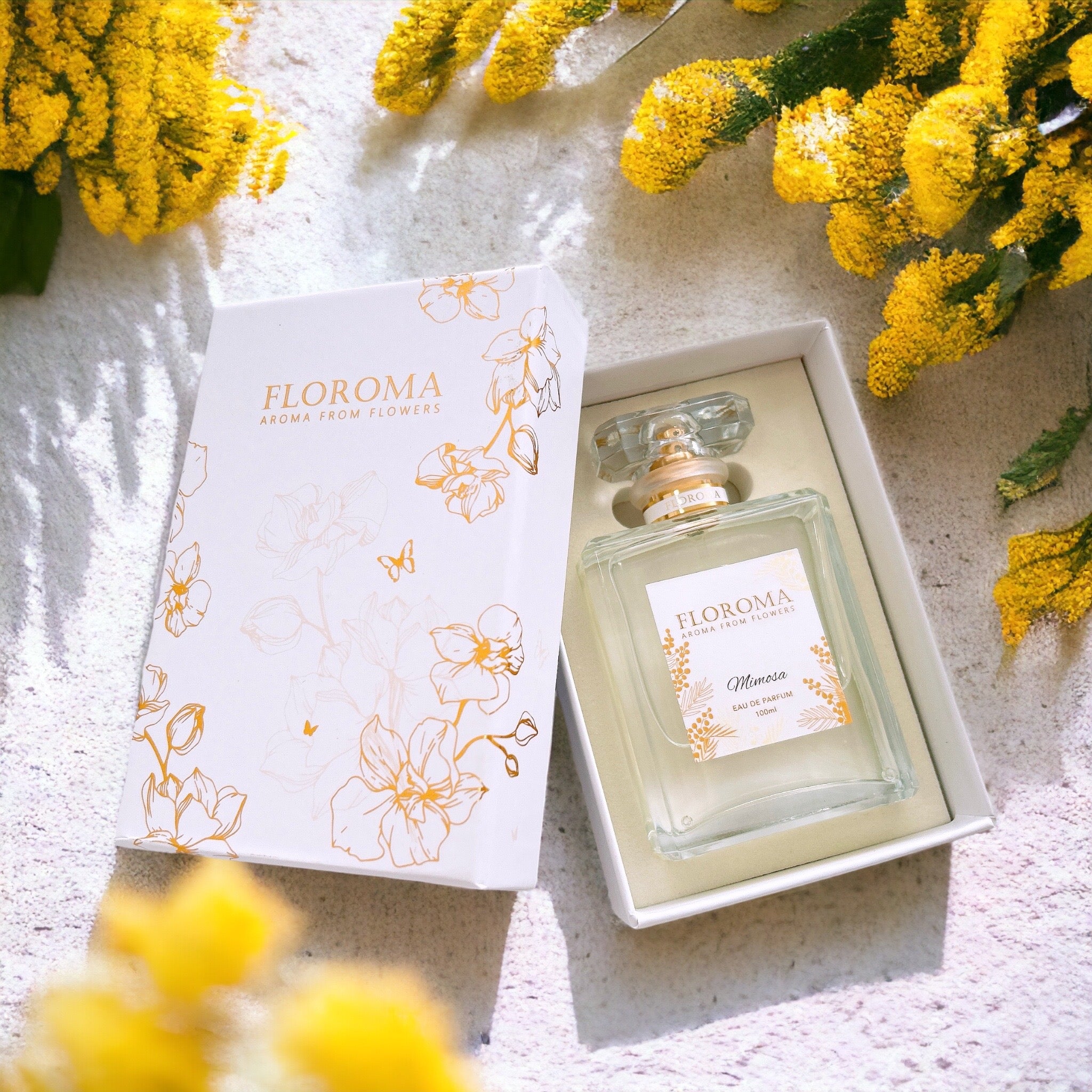 Mimosa Perfume – Floroma 花の滴