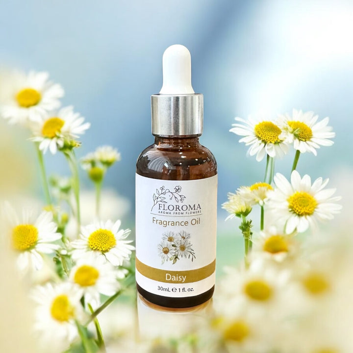 Daisy Fragrance Oil