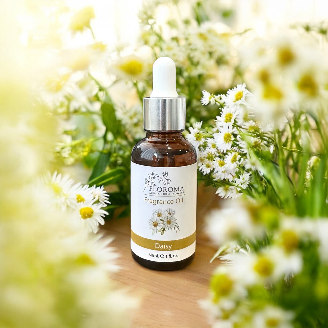 Daisy Fragrance Oil