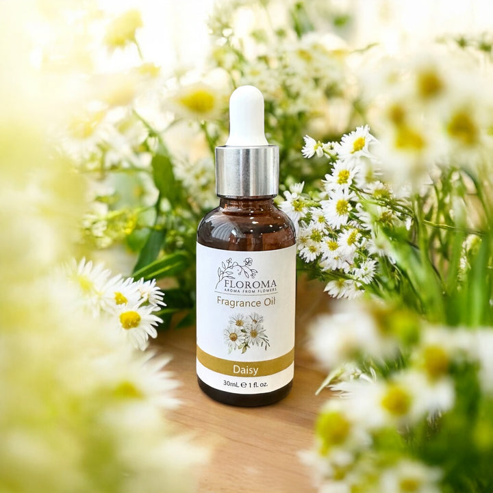 Daisy Fragrance Oil