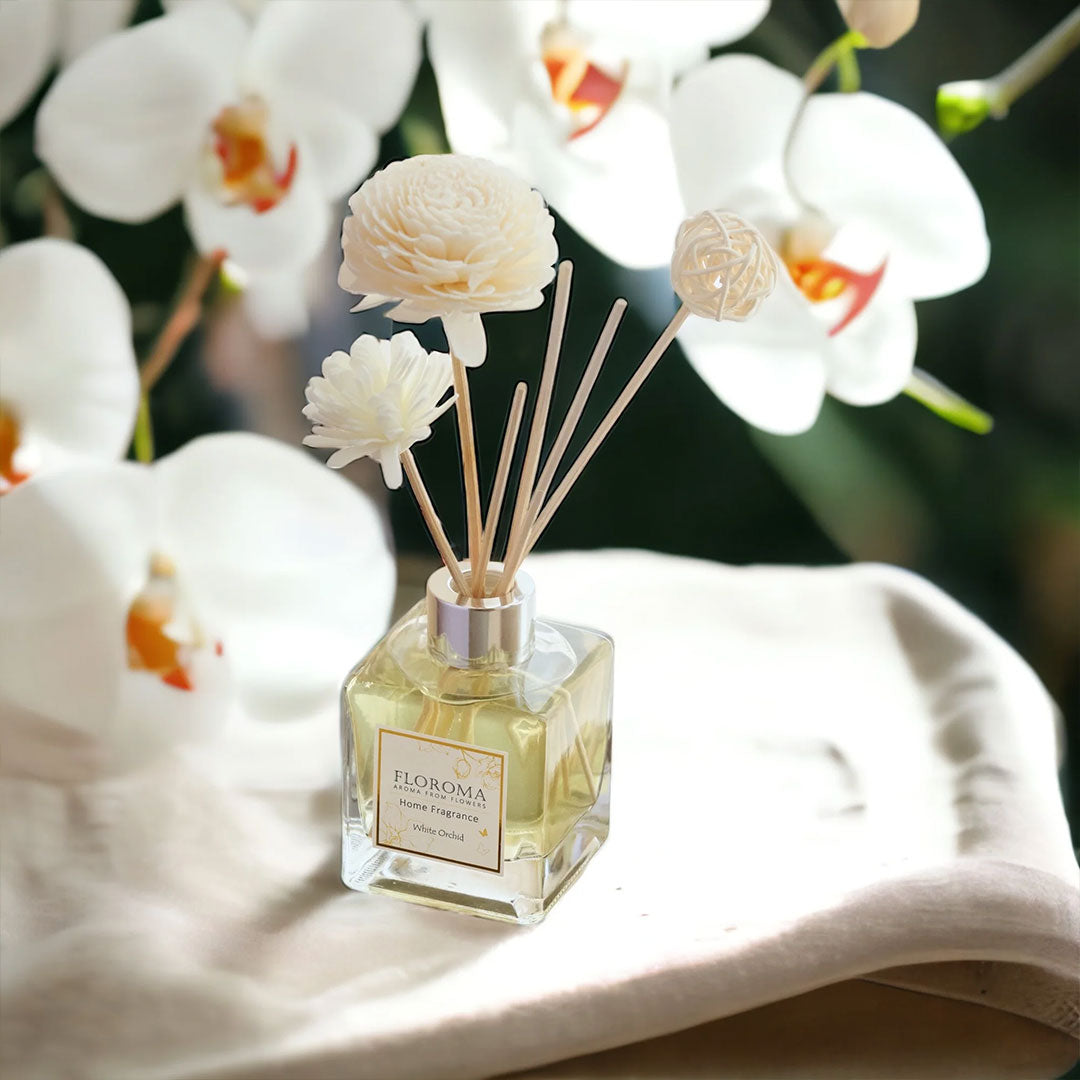 Floroma【Home Diffuser】Combo:USD$89 for 3 Diffusers (Any 3 Scents ...