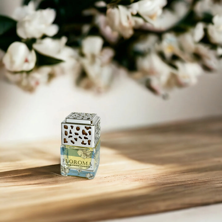 Car Diffuser Set《White Orchid》: 1 Set with 3 Diffusers