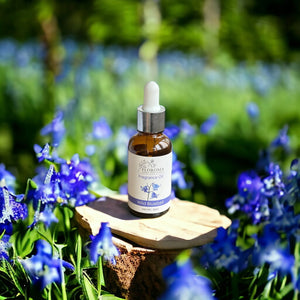 Wild Bluebell Fragrance Oil