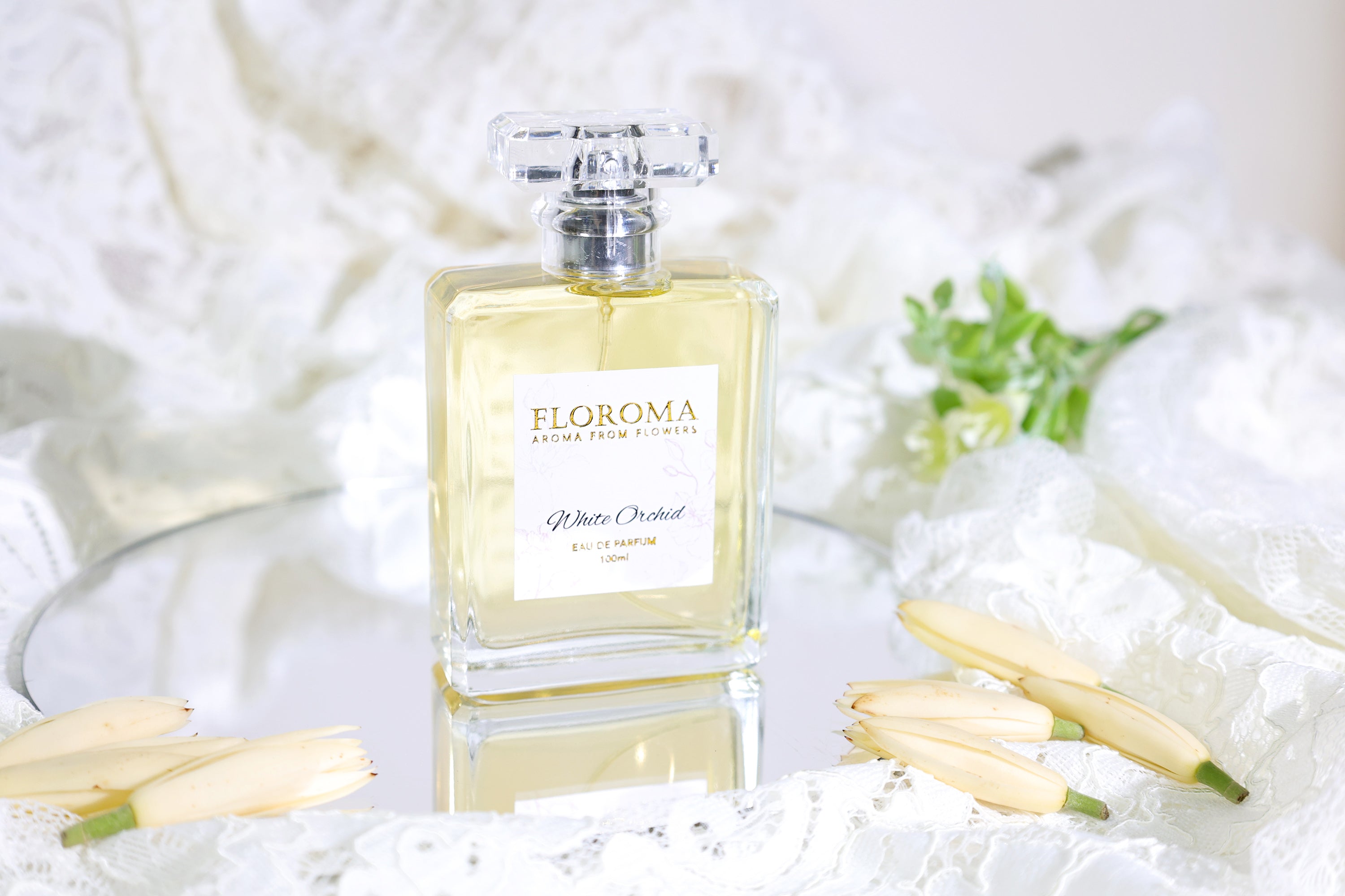 New! 100mL / 1 Bottle 【Delux Perfume】 FOR HER – Floroma 花之滴