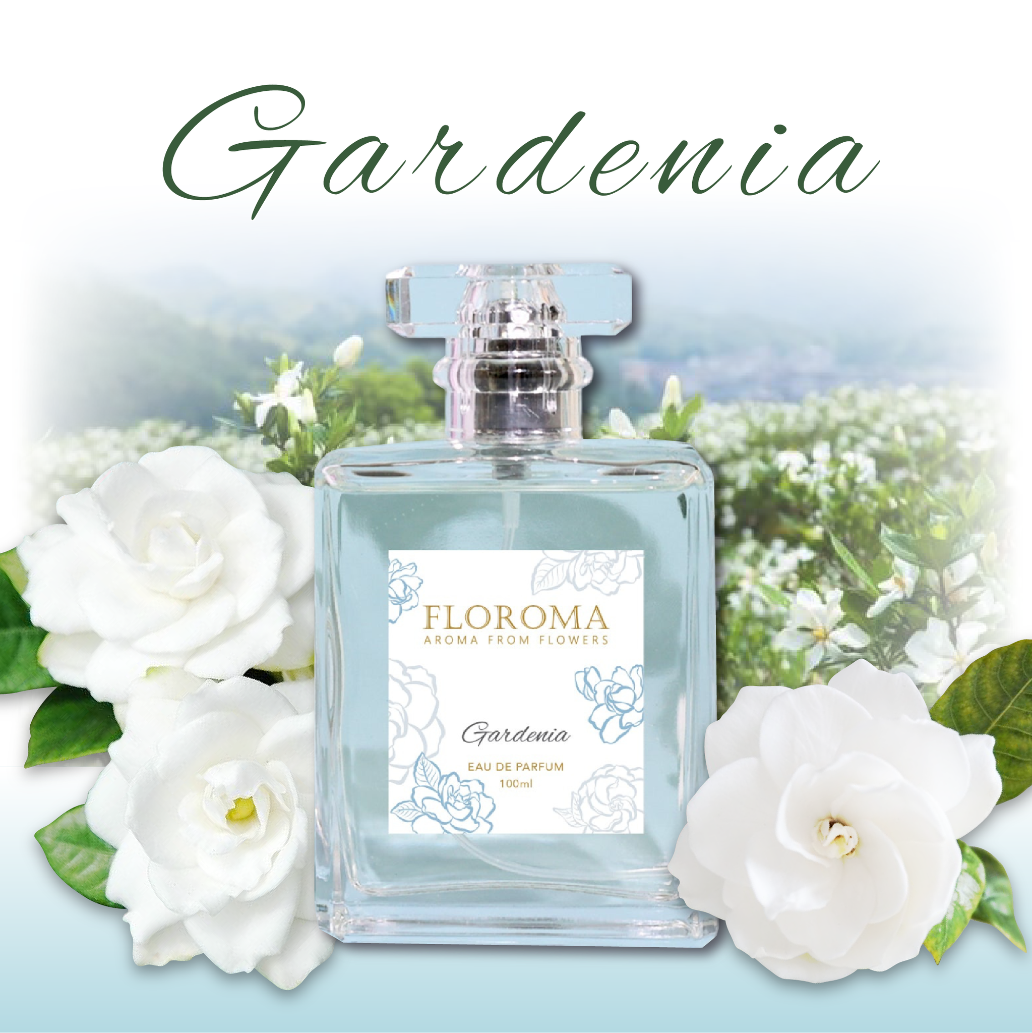 White gardenia petals 100ml 2025